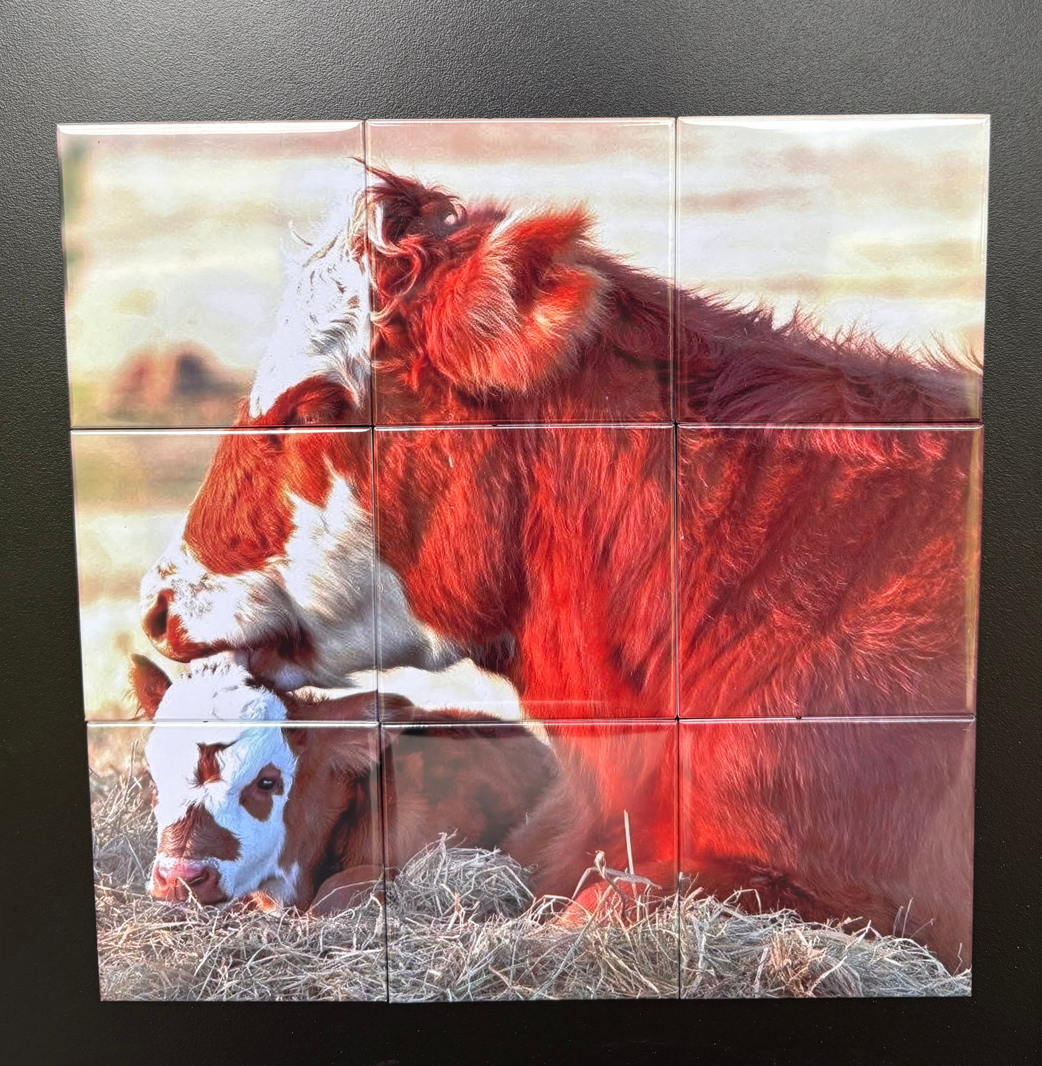 9 piece puzzle