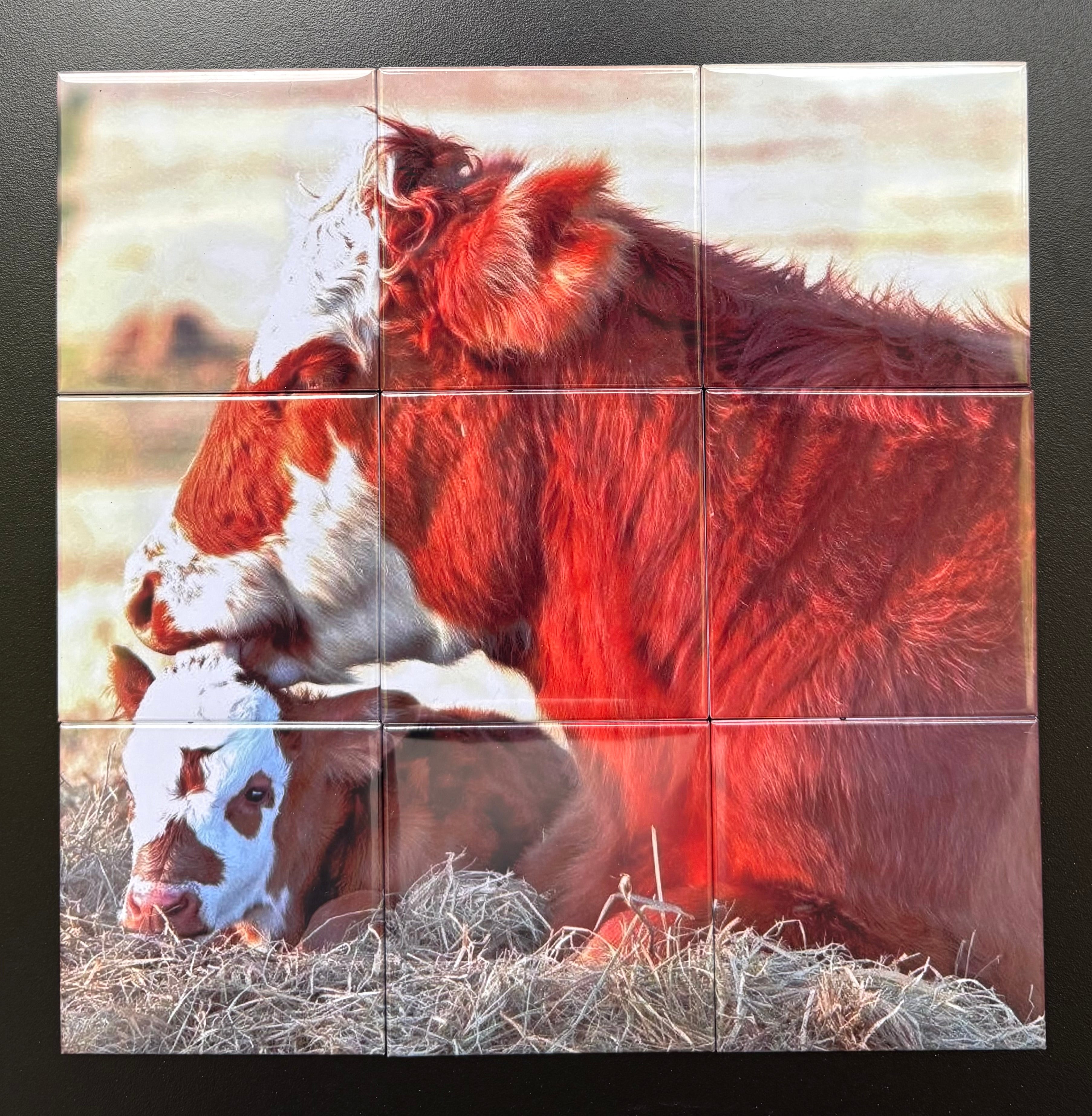 9 piece puzzle